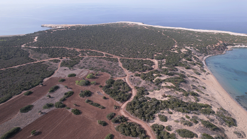 Akamas Park road network improvement